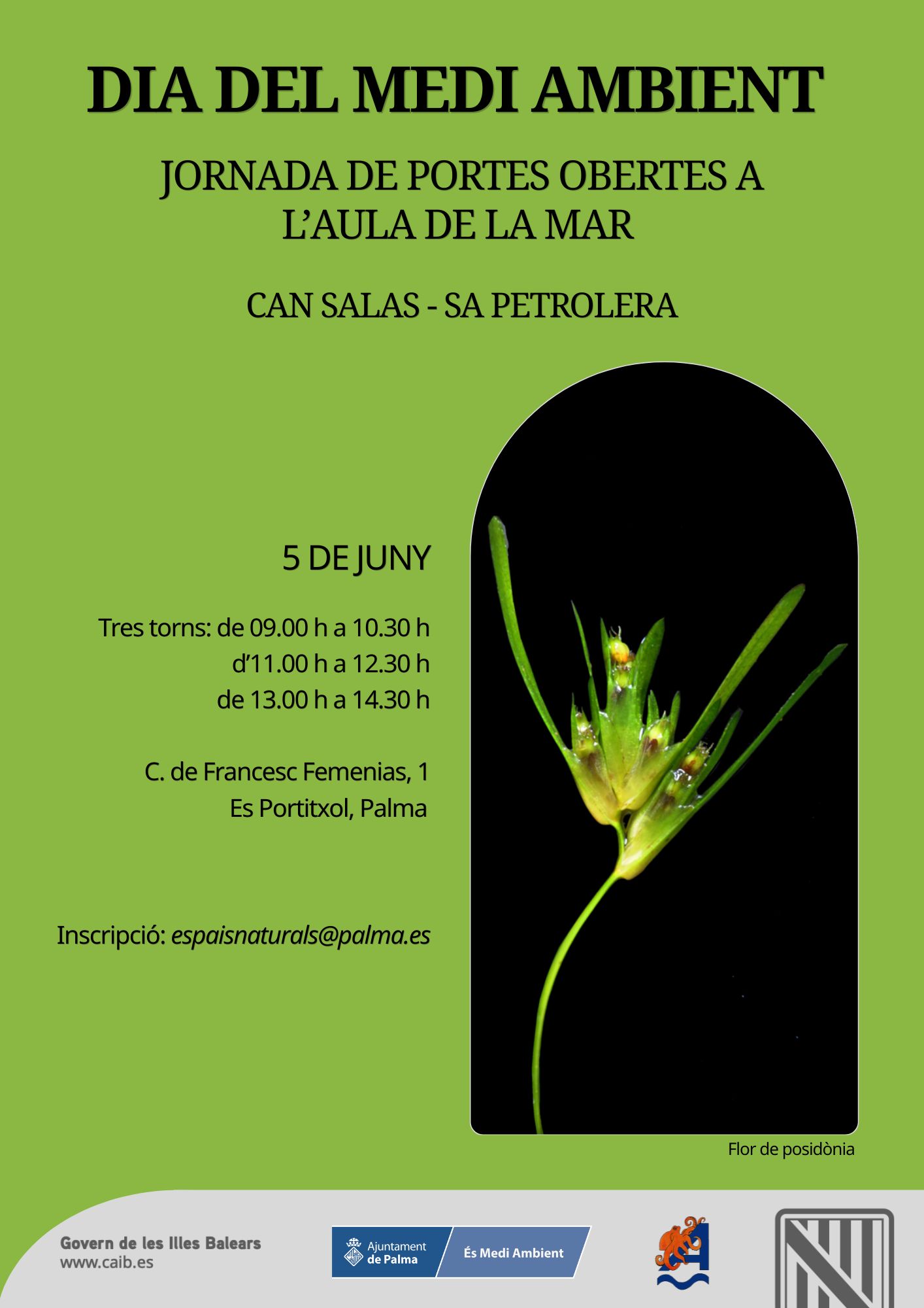 Dia del Medi Ambient
